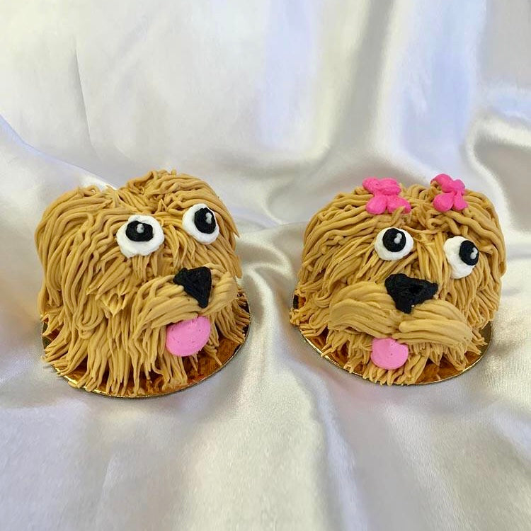 Two brown Puppy Dogs, both have their tongues out, and one is wearing two pink bows