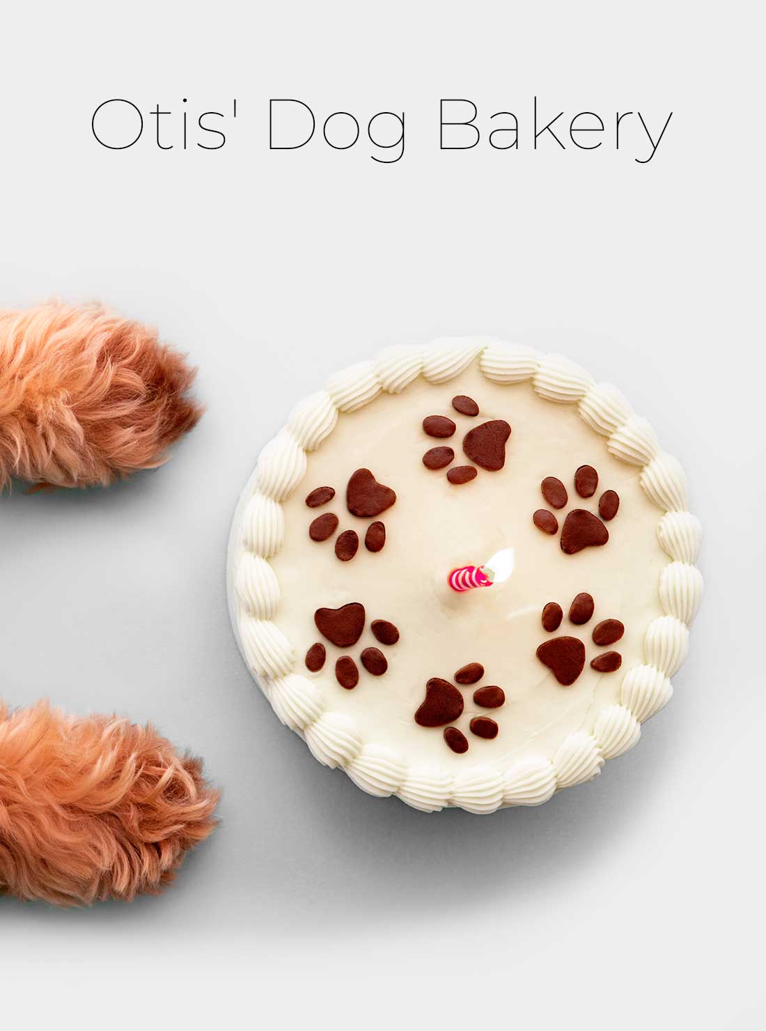 Otis' Dog Bakery