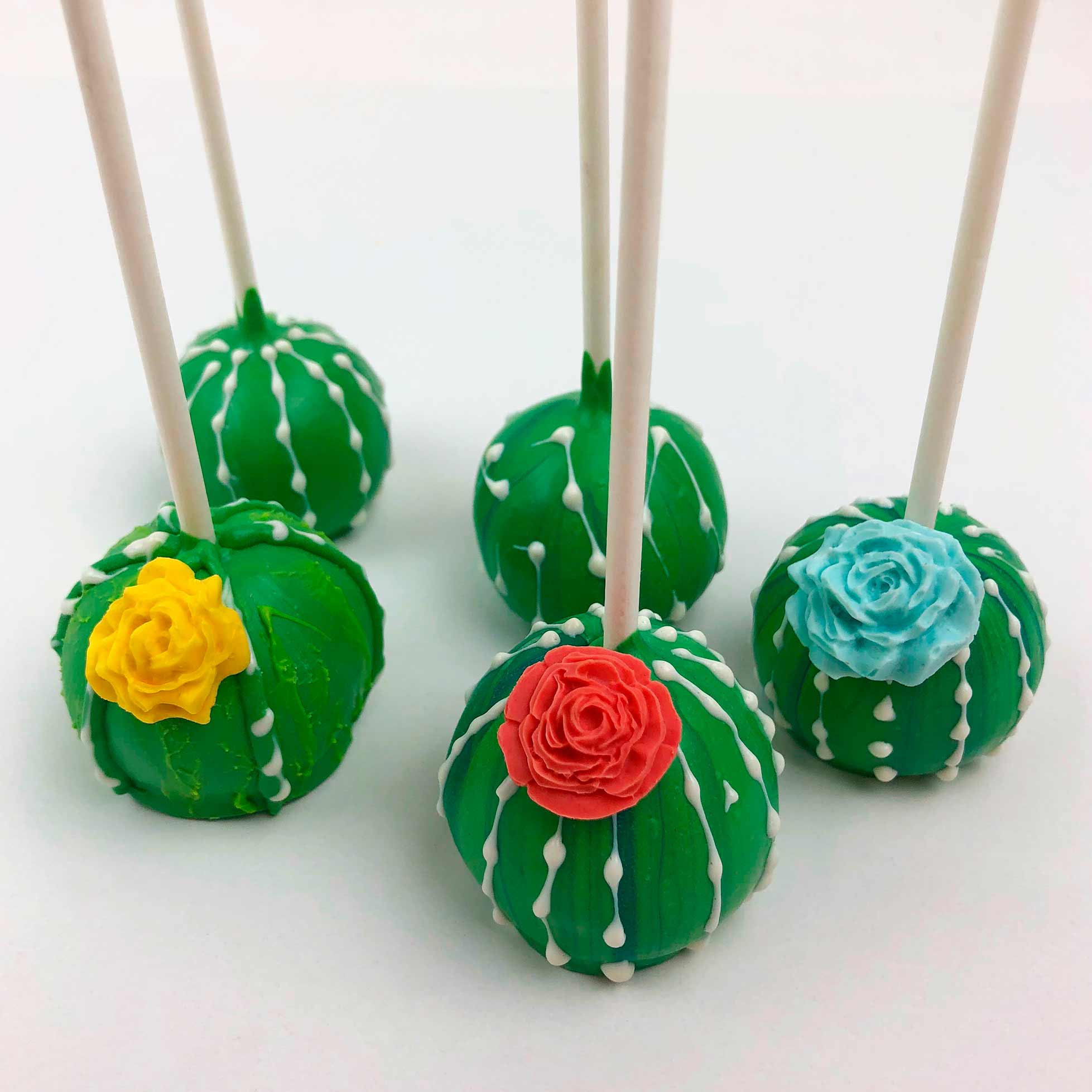 Succulent Cake Pop