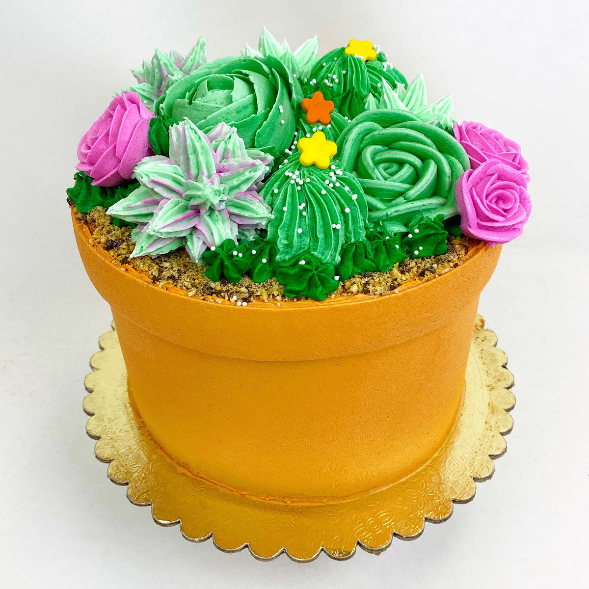 succulent decorated cakes Succulent Flower Pot Cake 6" / Chocolate Cake w/ Vanilla Bavarian Filling